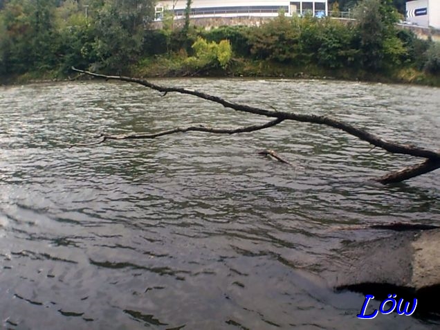 21.8.2025 - Murgestade